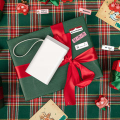 P21 Portable Bluetooth Label Maker